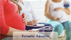 Online Antenatal Class